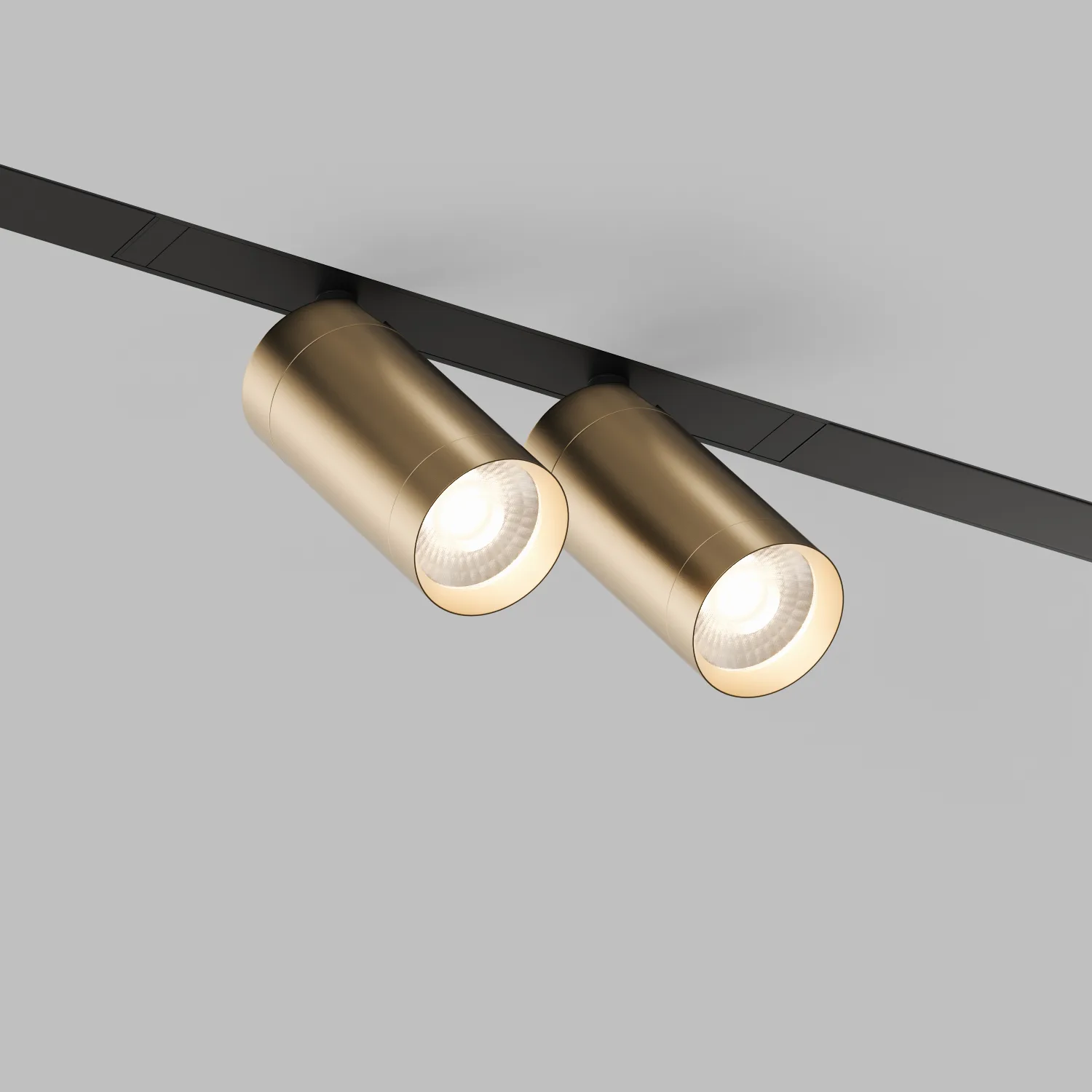 Трековый светильник Denkirs DK8012-BG Smart Spot, черный/золото матовое