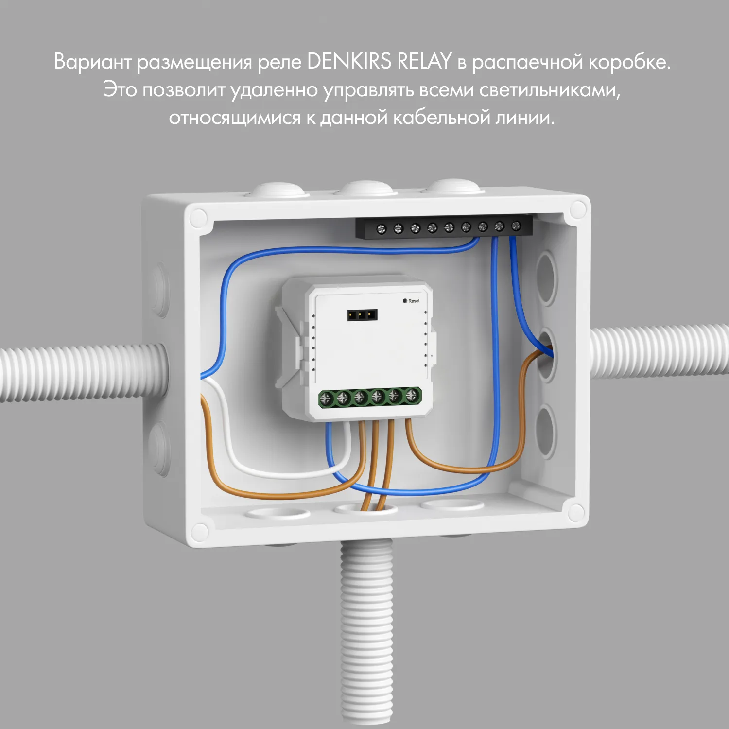 Denkirs RL1001-SM Одноканальное Wi‑Fi реле-выключатель (ДЕНКИРС) Denkirs RL1001-SM Одноканальное Wi‑Fi реле-выключатель (ДЕНКИРС)